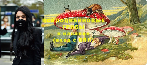 шишки Елизово