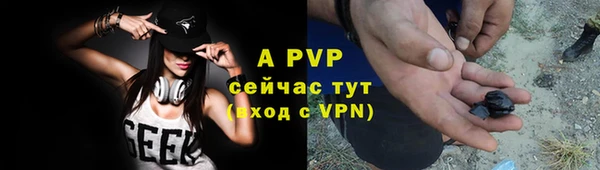 шишки Елизово