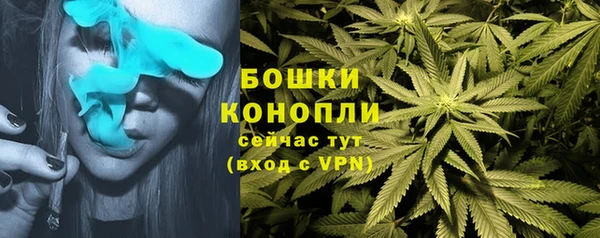 шишки Елизово