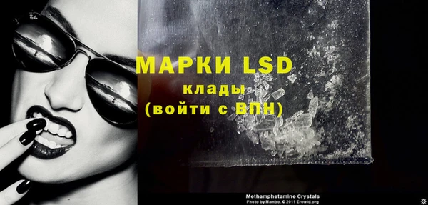 шишки Елизово