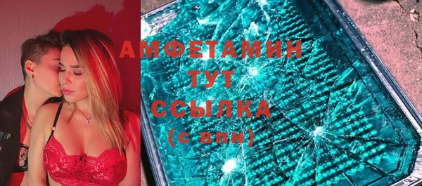 шишки Елизово