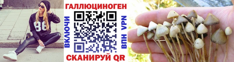 Псилоцибиновые грибы мицелий  даркнет сайт  Полярный 
