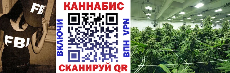 Конопля планчик Полярный